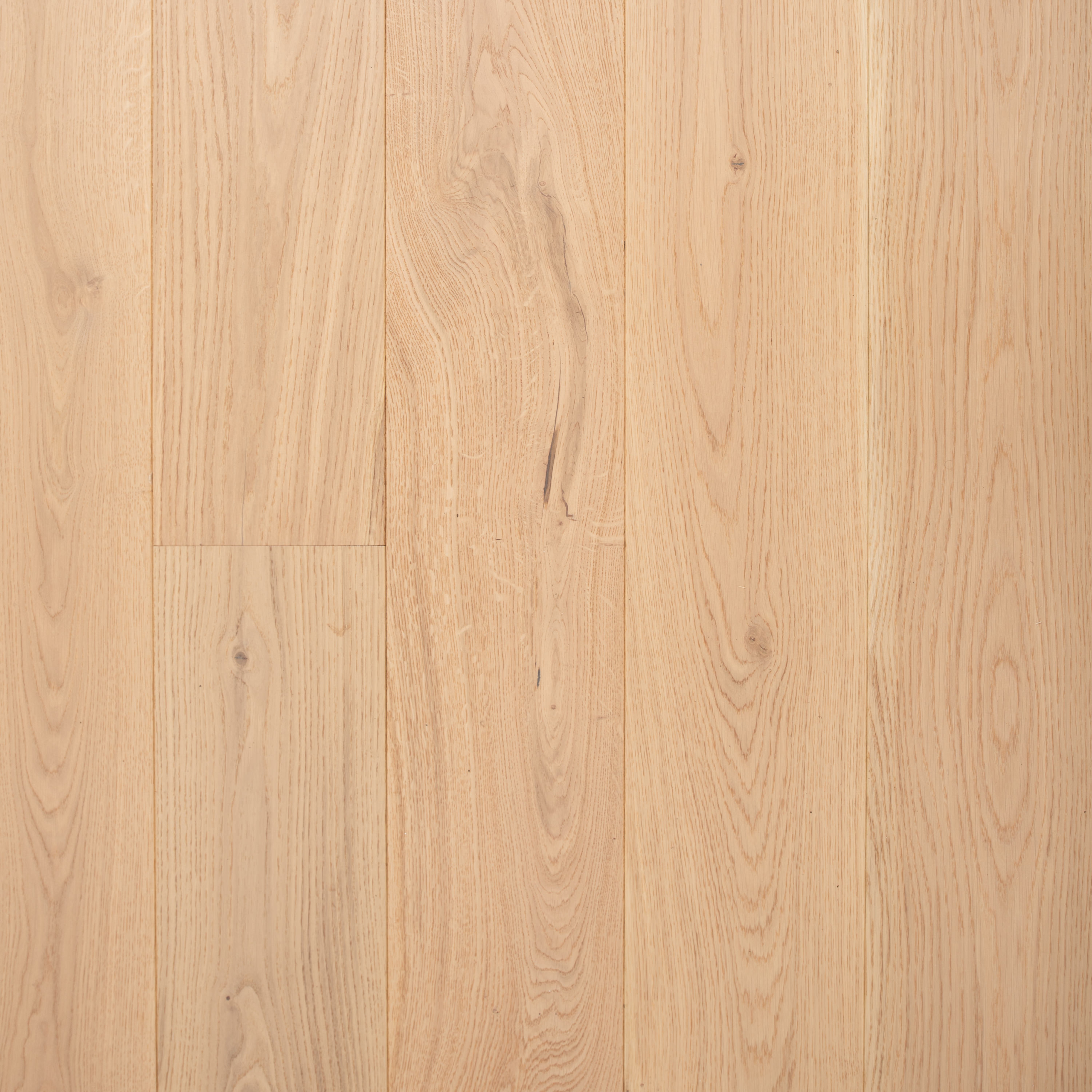 Dalby-Oak-scaled-1.jpg
