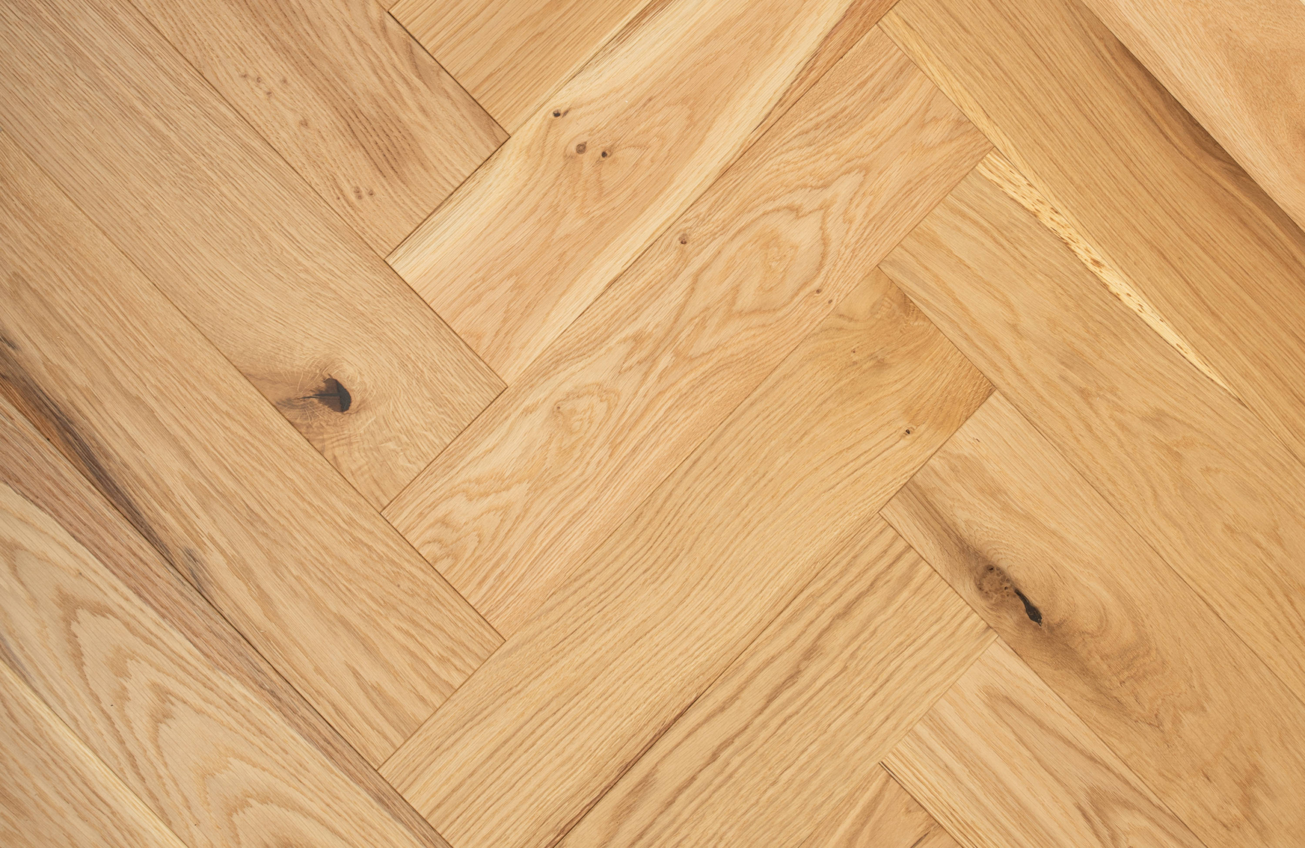 Epping-Oak-scaled-1.jpg