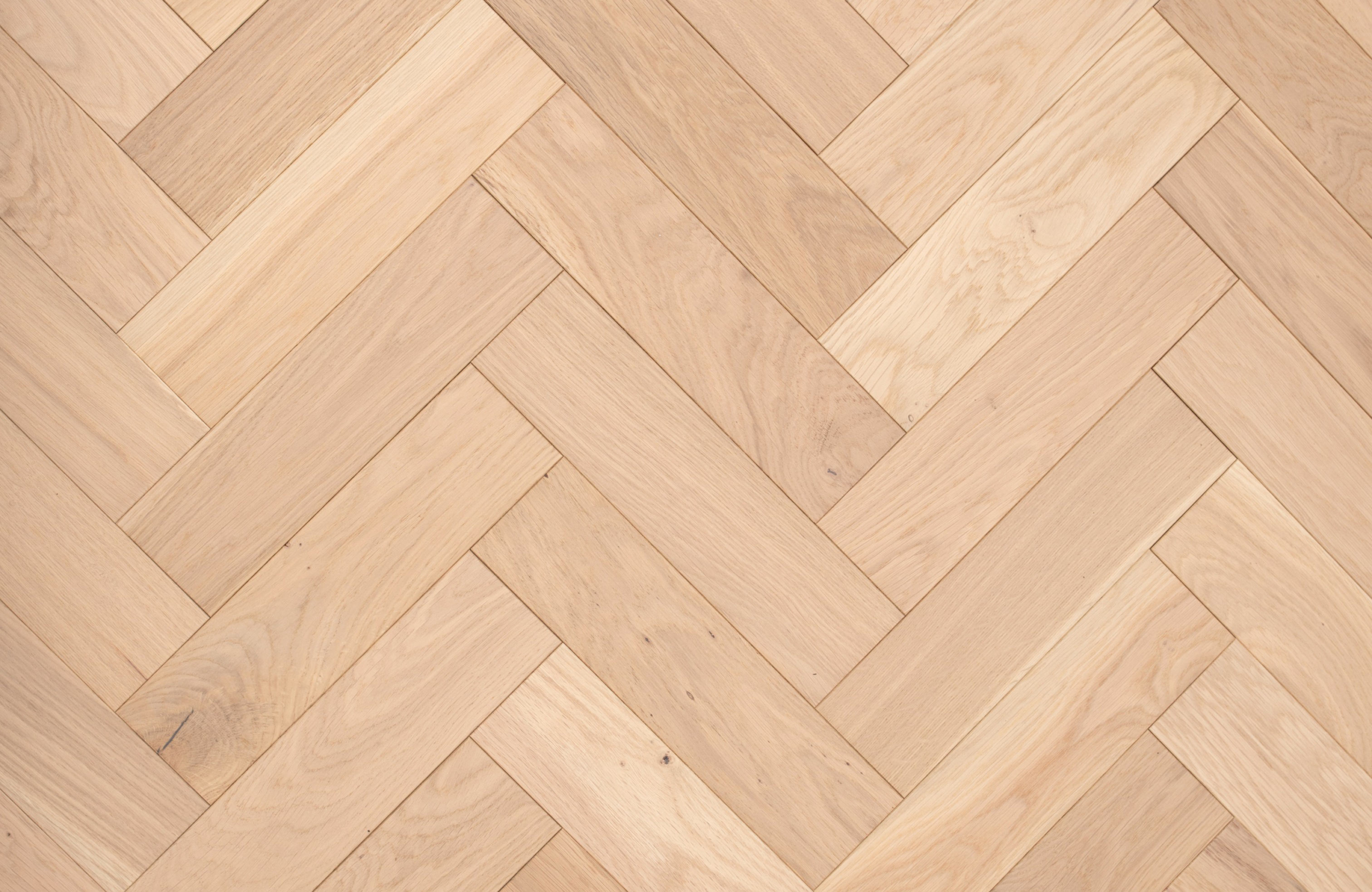 Friston-Oak-scaled-1.jpg