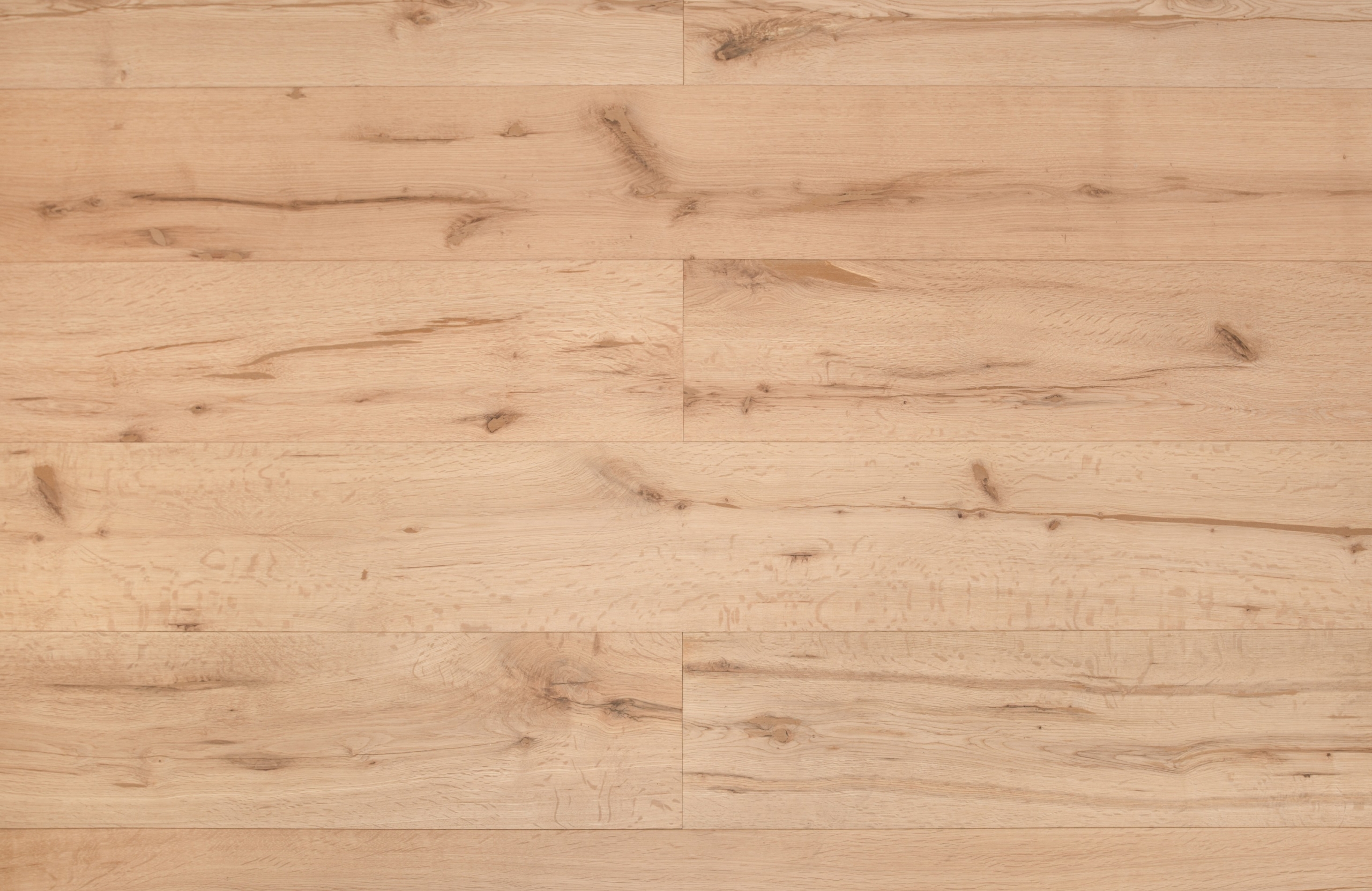 Gisburn-Oak-scaled-1.jpg