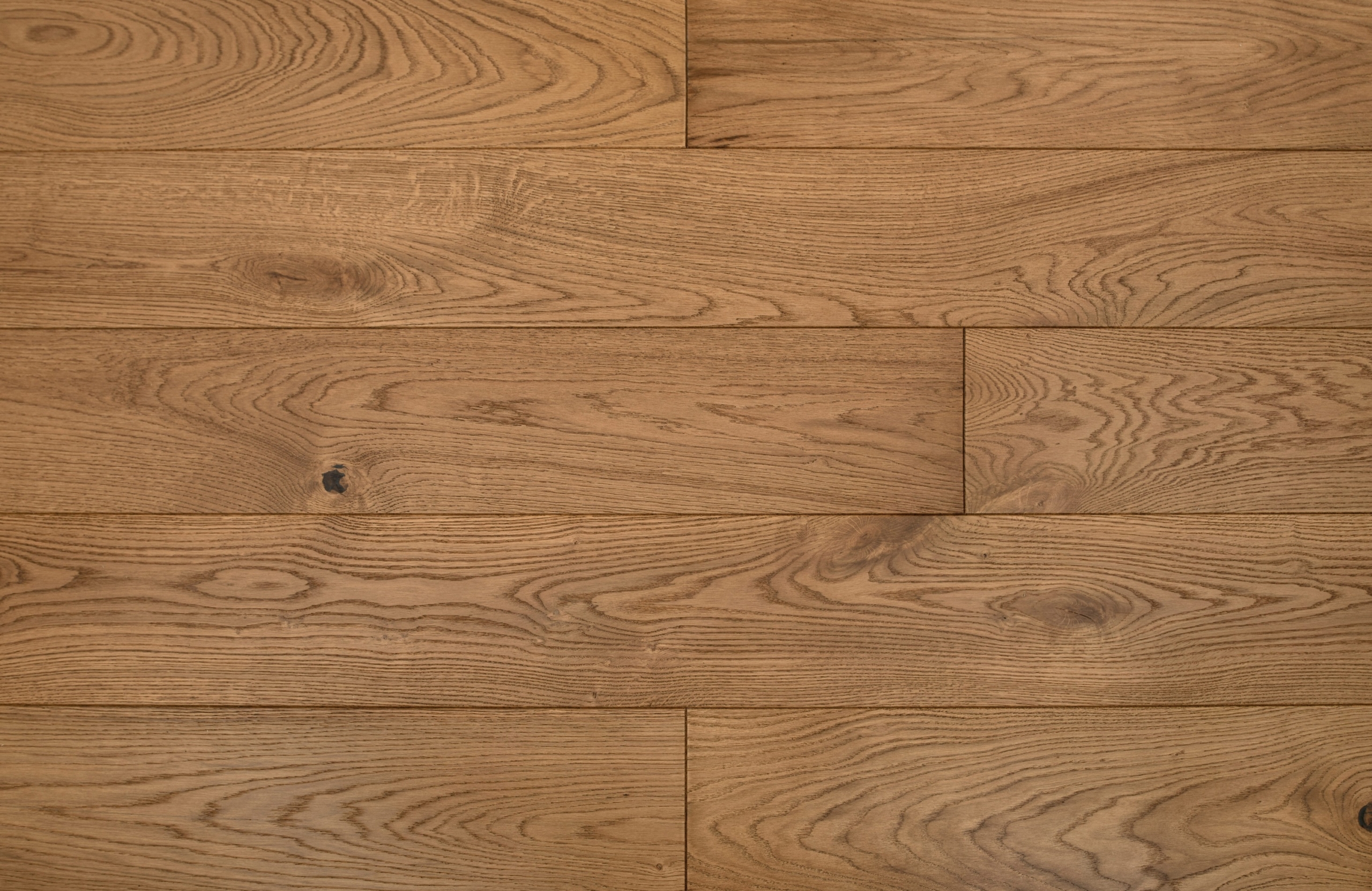 Grizedale-Oak-scaled-1.jpg