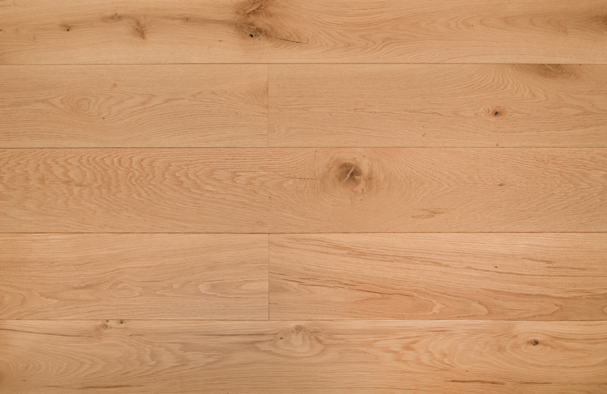 Kielder-Oak-scaled-1.jpg