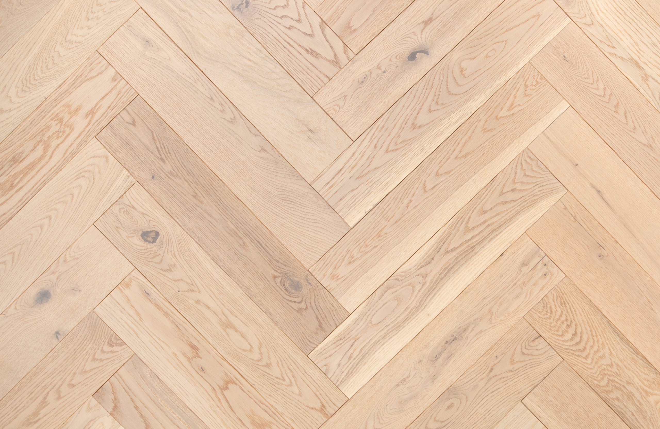 Salcey-Oak-scaled-1.jpg