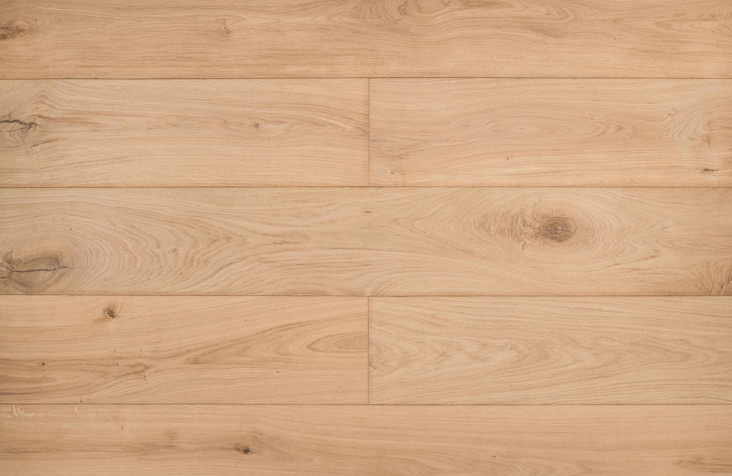 Wyre-Oak-scaled-1.jpg
